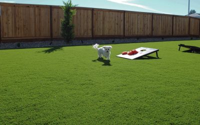 Can an HOA Ban Artificial Turf in California?